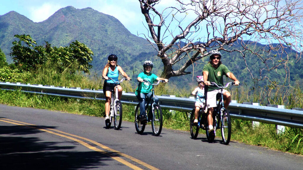 Biking Tips for Exploring Honolulu