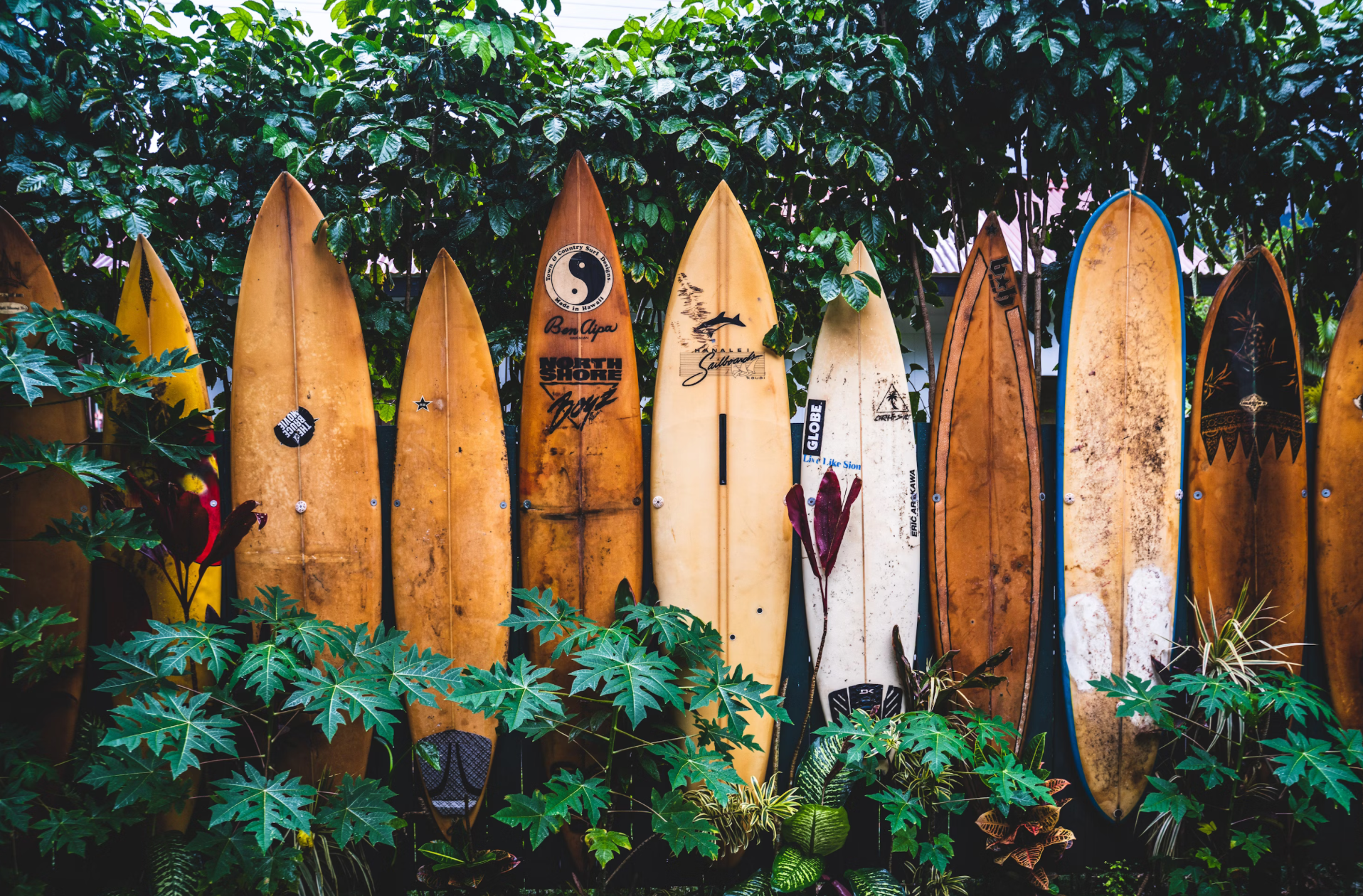 North Shore of Oahu