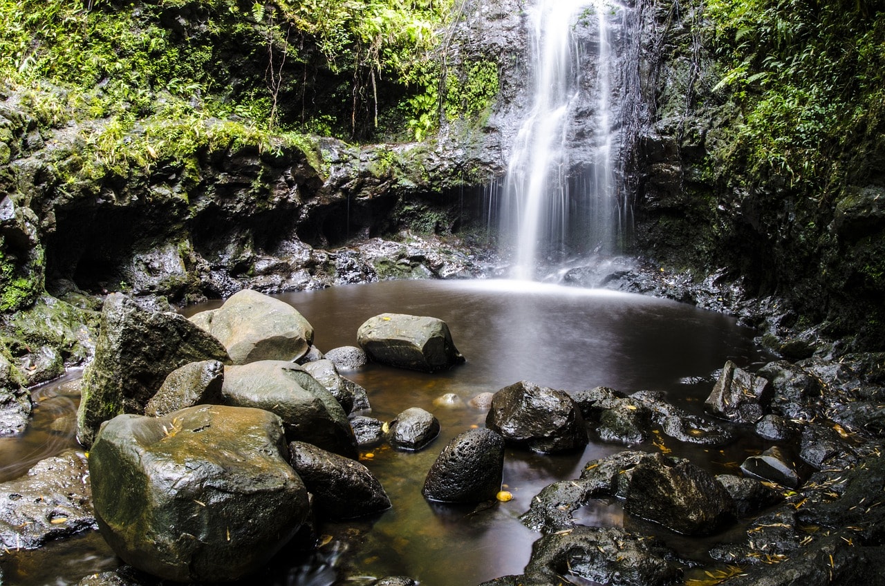 Mānoa Falls