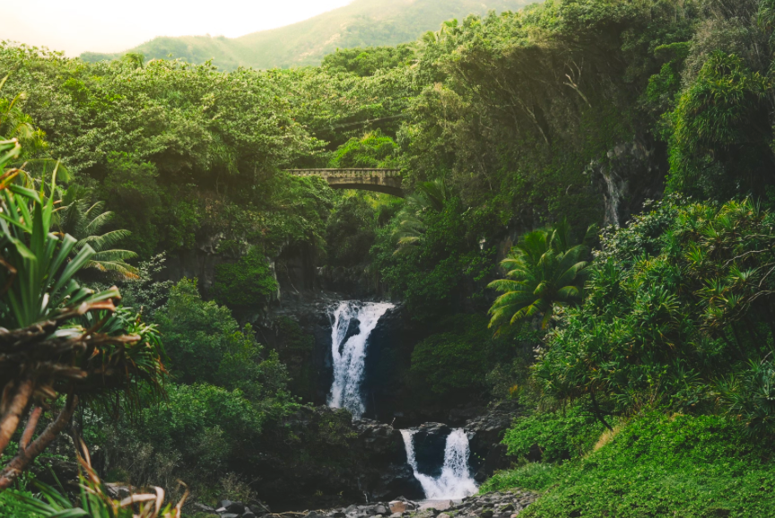 Diamond Head